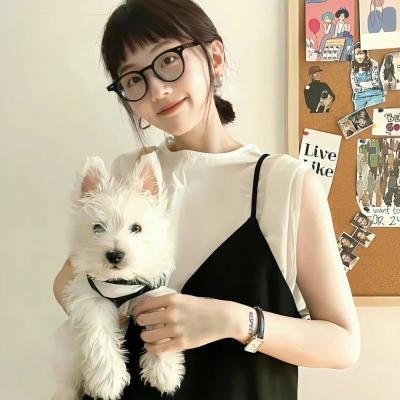 吉娃娃